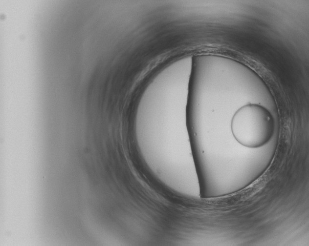 X0000066520734200603170949