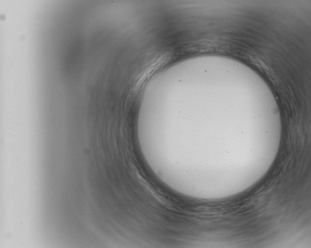 X0000066520735200603170949