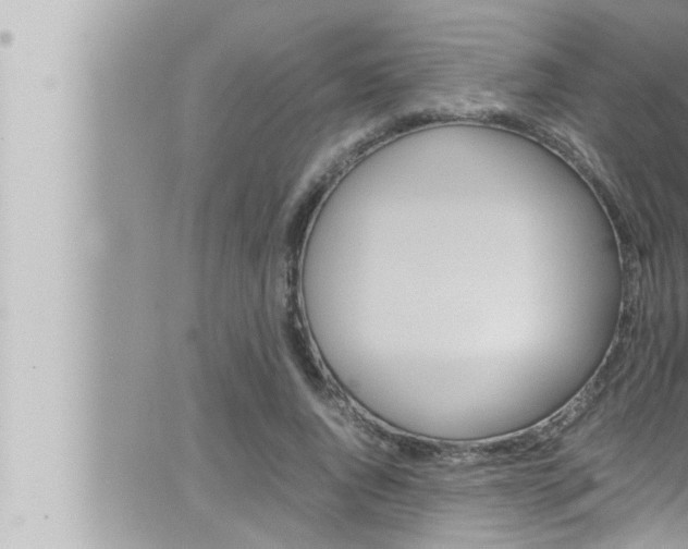 X0000066520736200603170949