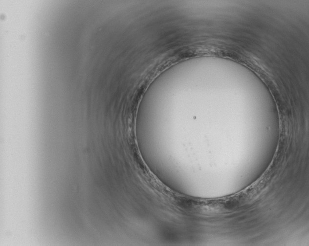 X0000066520737200603170949