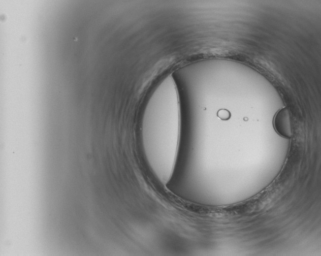 X0000066520738200603170949