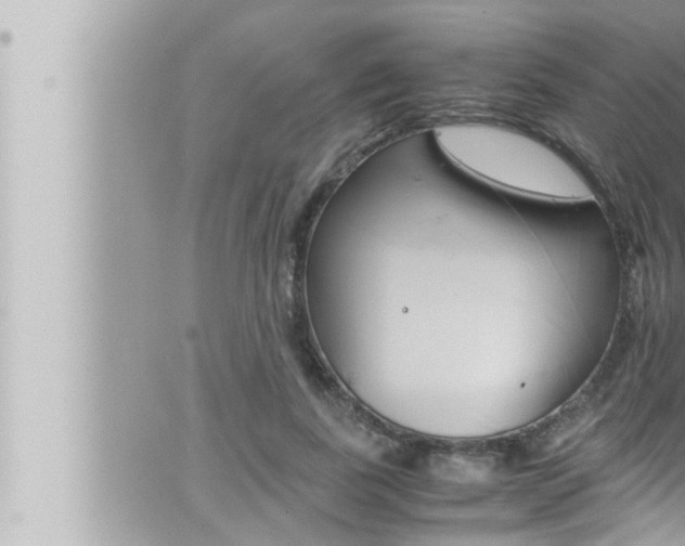 X0000066520739200603170949