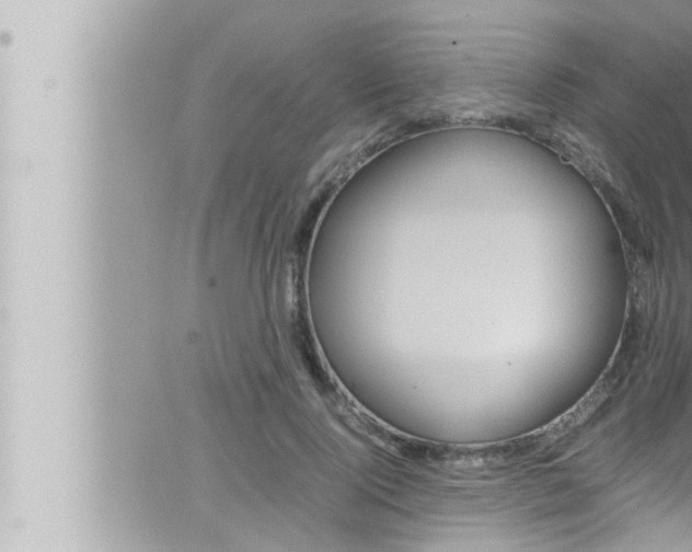 X0000066520740200603170949