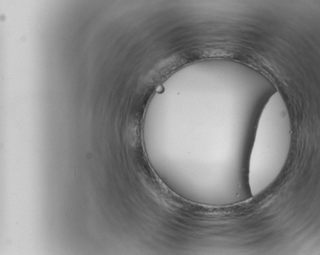 X0000066520741200603170950