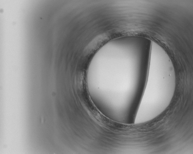 X0000066520742200603170950