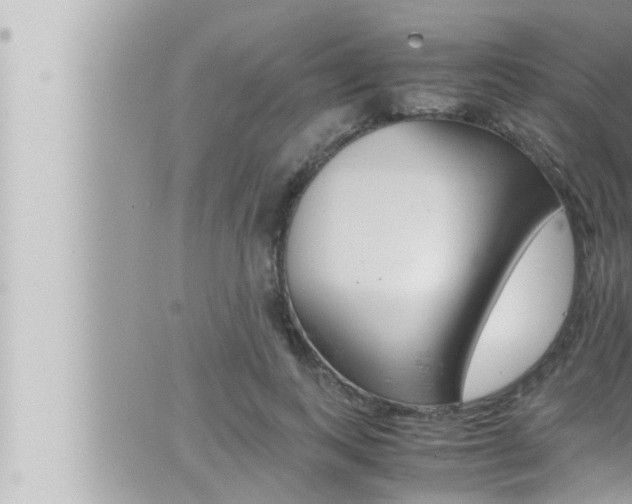 X0000066520743200603170950