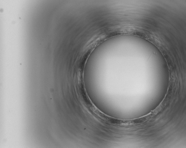 X0000066520744200603170950