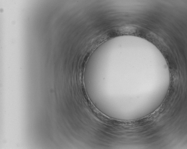 X0000066520745200603170950