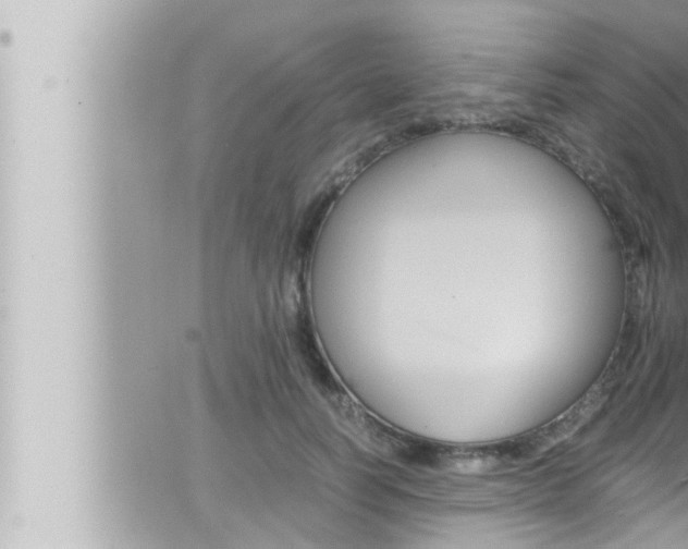 X0000066520746200603170950