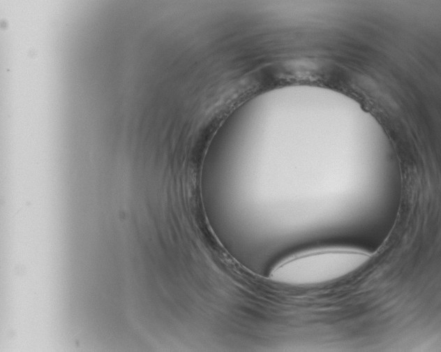 X0000066520747200603170950