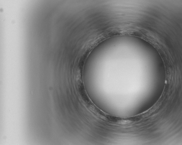 X0000066520748200603170950