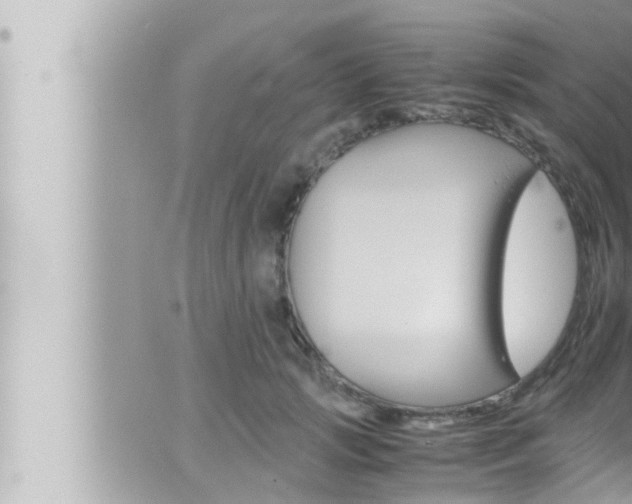 X0000066520749200603170950