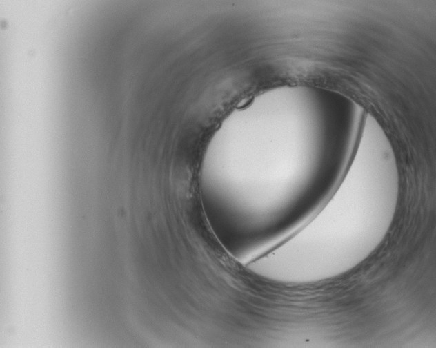 X0000066520750200603170950