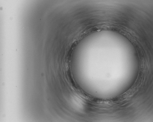 X0000066520751200603170950