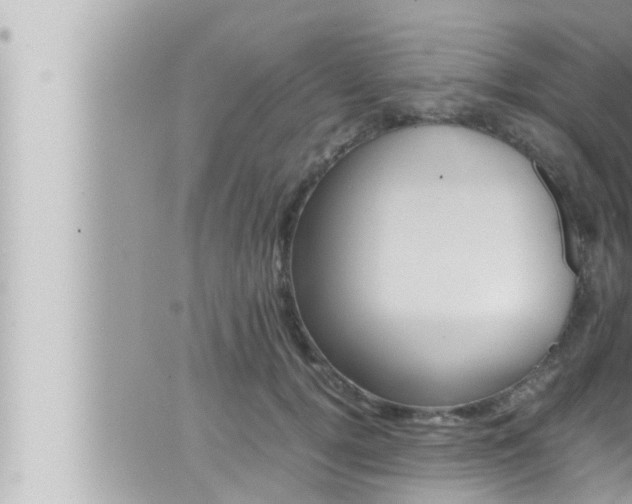 X0000066520752200603170950