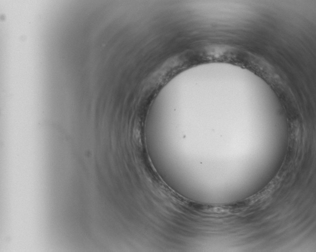 X0000066520754200603170950