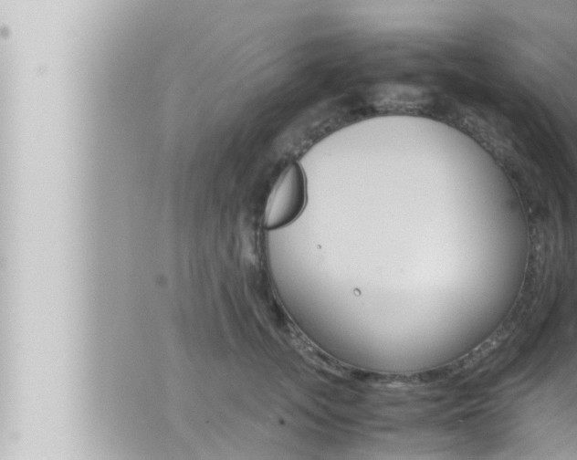 X0000066520755200603170950