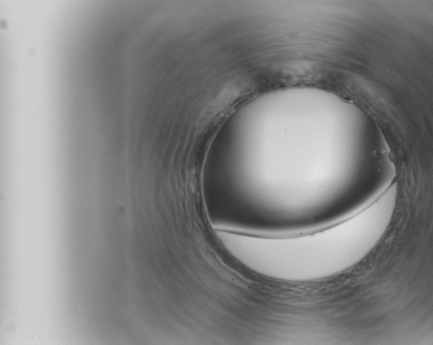 X0000066520756200603170950