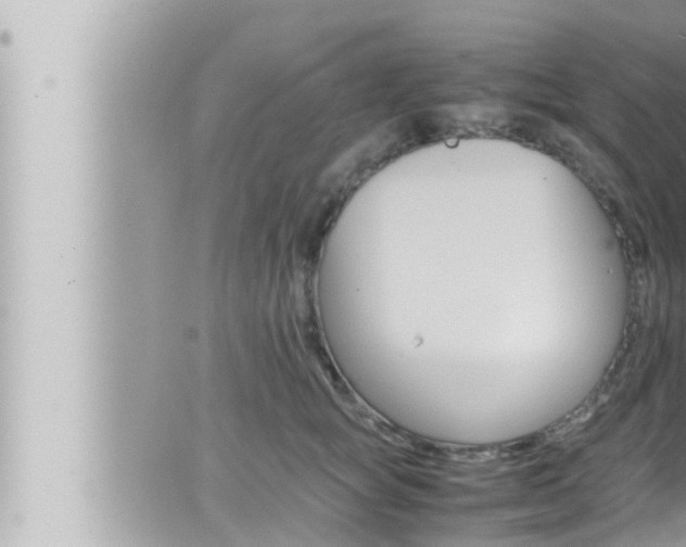 X0000066520757200603170950