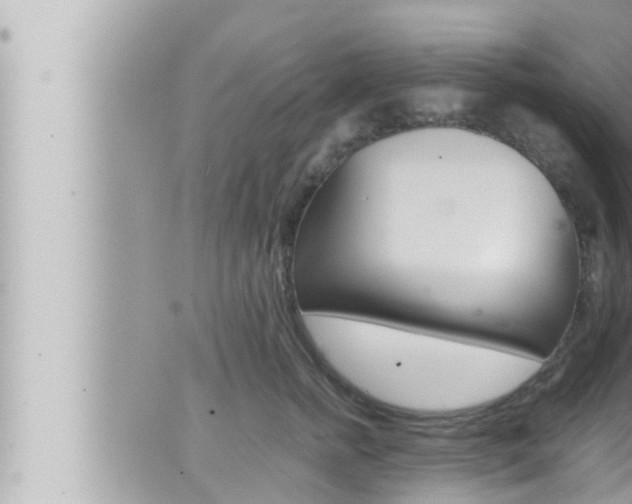 X0000066520758200603170950