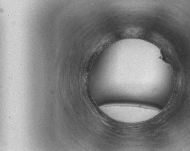 X0000066520759200603170950