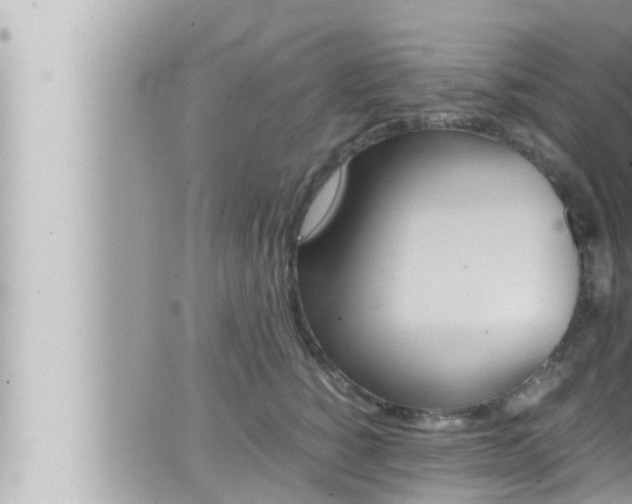 X0000066520760200603170950