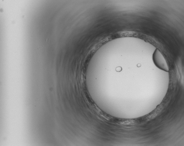 X0000066520761200603170950