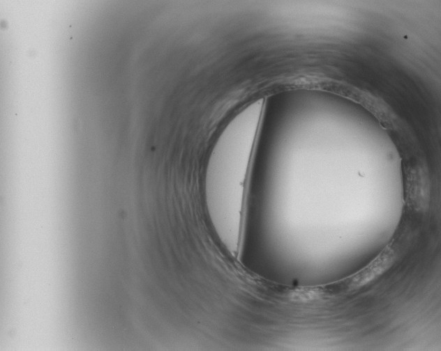 X0000066520762200603170950