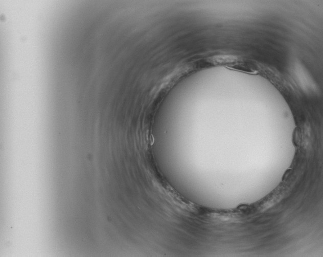 X0000066520763200603170950