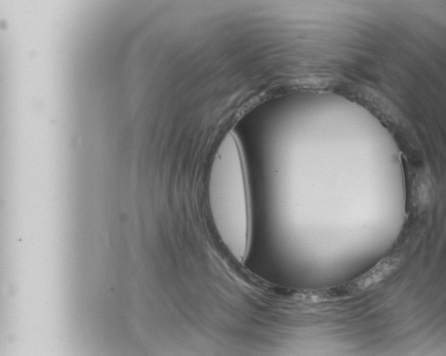 X0000066520764200603170950