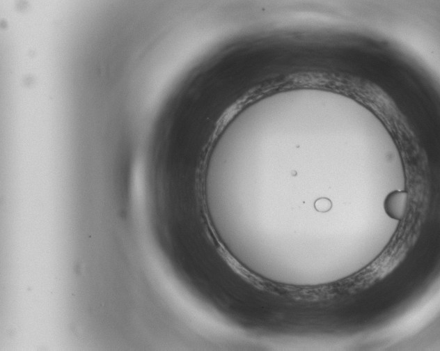 X0000066520765200603170950