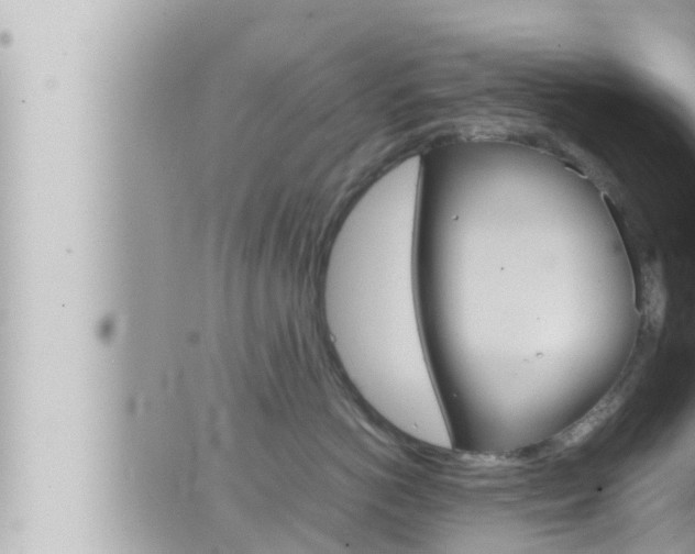 X0000066520766200603170950