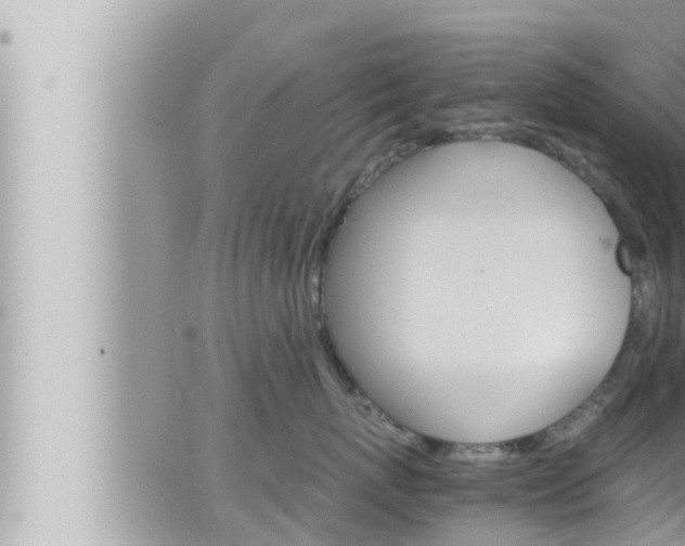 X0000066520767200603170950