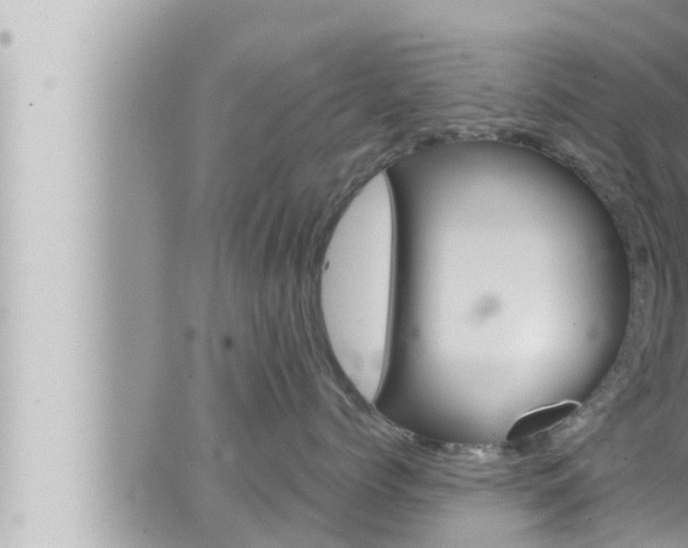 X0000066520768200603170950