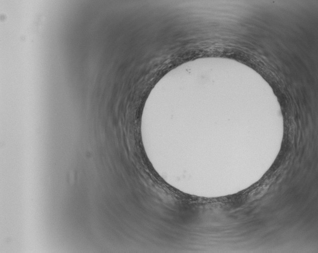 X0000066520769200603170949