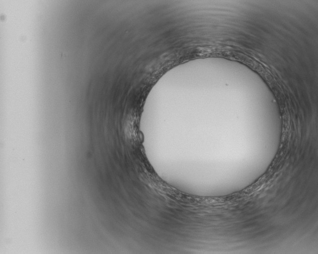 X0000066520770200603170949