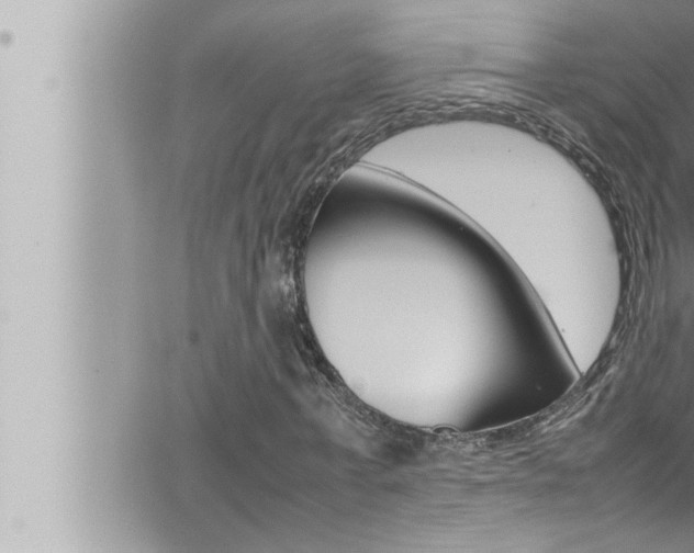 X0000066520771200603170949