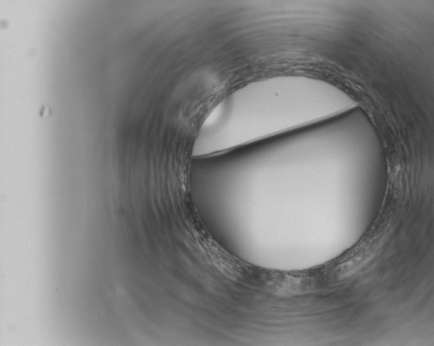 X0000066520772200603170949