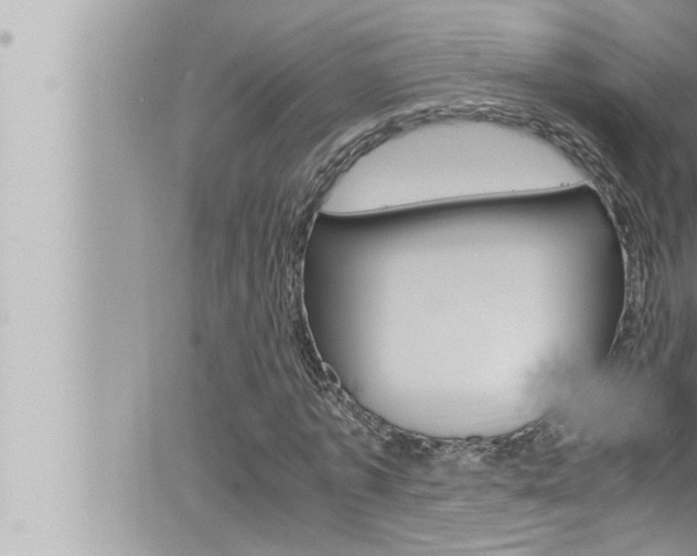 X0000066520773200603170949