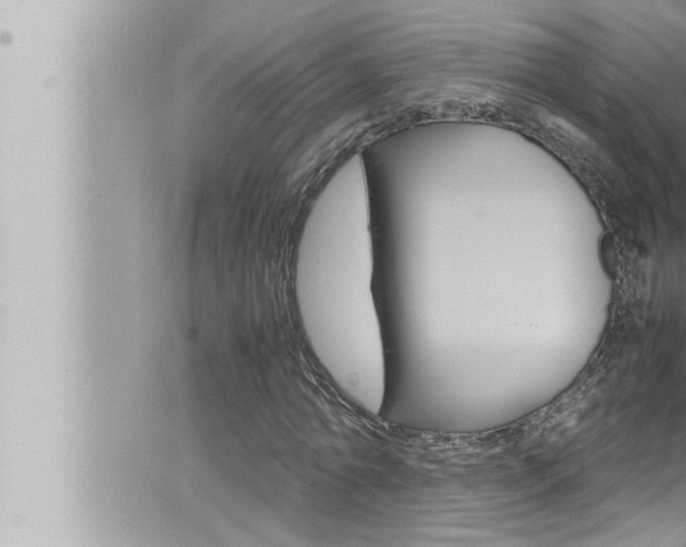 X0000066520774200603170949