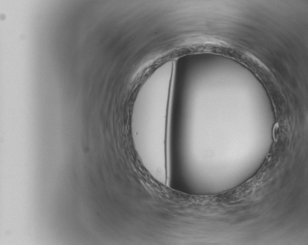 X0000066520775200603170949