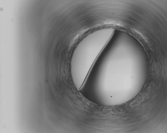 X0000066520776200603170949