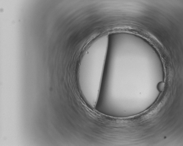 X0000066520777200603170949