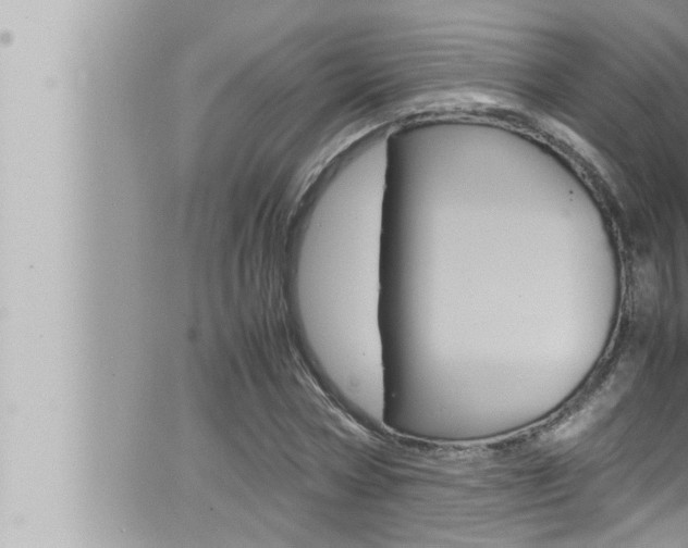 X0000066520778200603170949