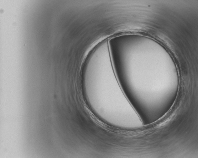 X0000066520779200603170949