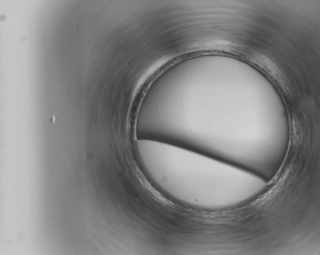 X0000066520780200603170949