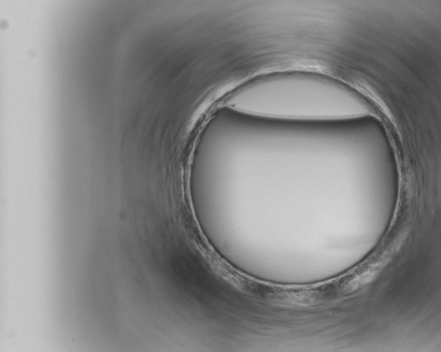 X0000066520781200603170949