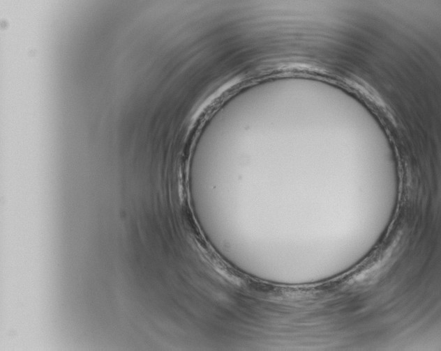 X0000066520782200603170949