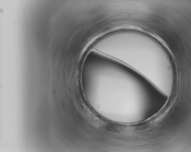 X0000066520783200603170949