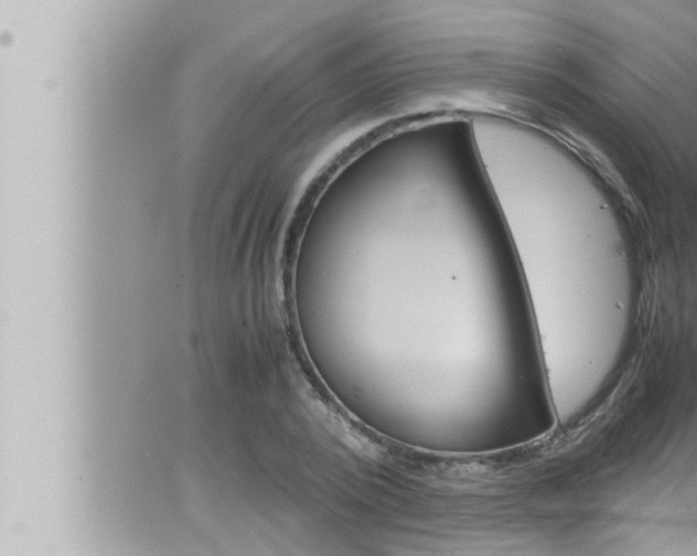 X0000066520784200603170949